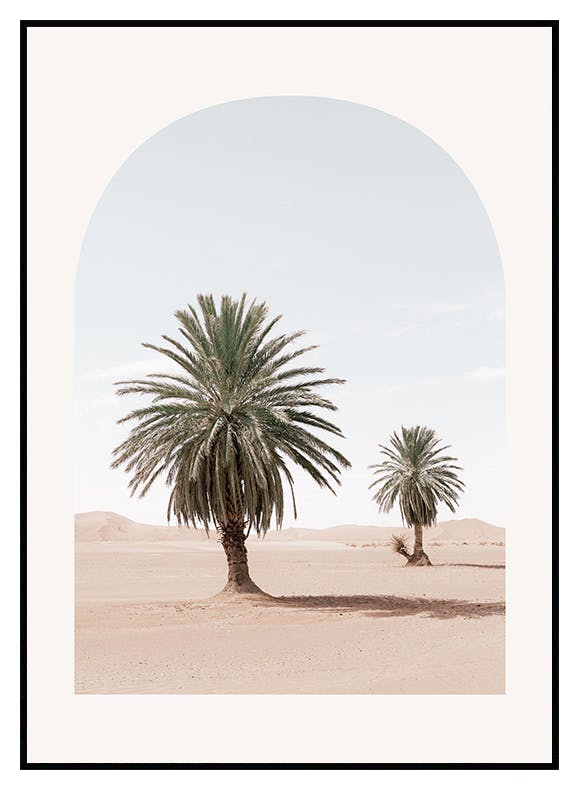 Ökenpalmer Poster (30x40 cm) - Poster Store