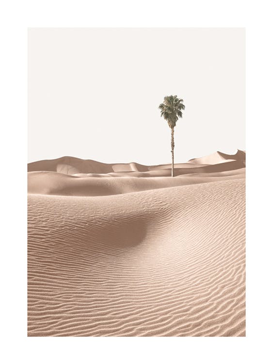 Palmier sur Dune de Sable Poster 0