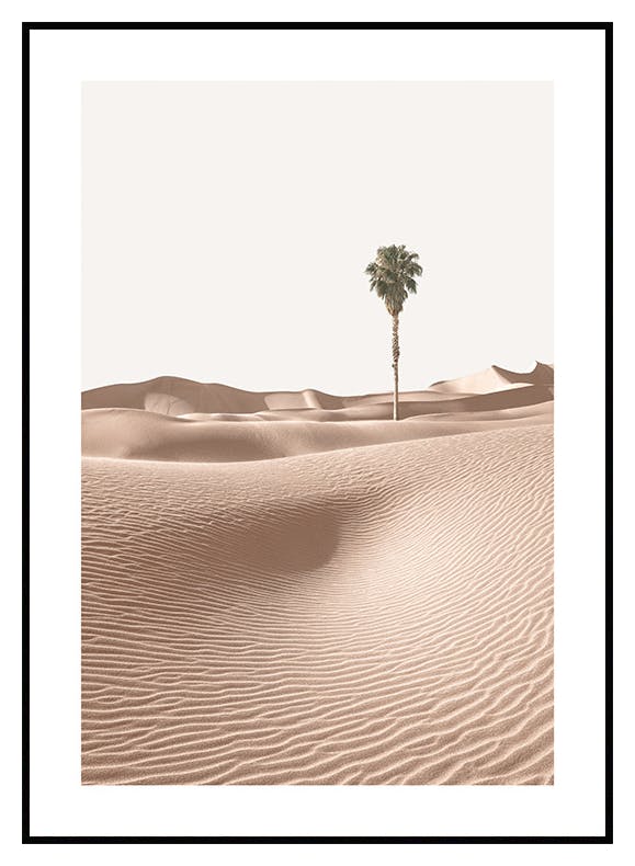 Palmier sur Dune de Sable Poster (30x40 cm) - Poster Store
