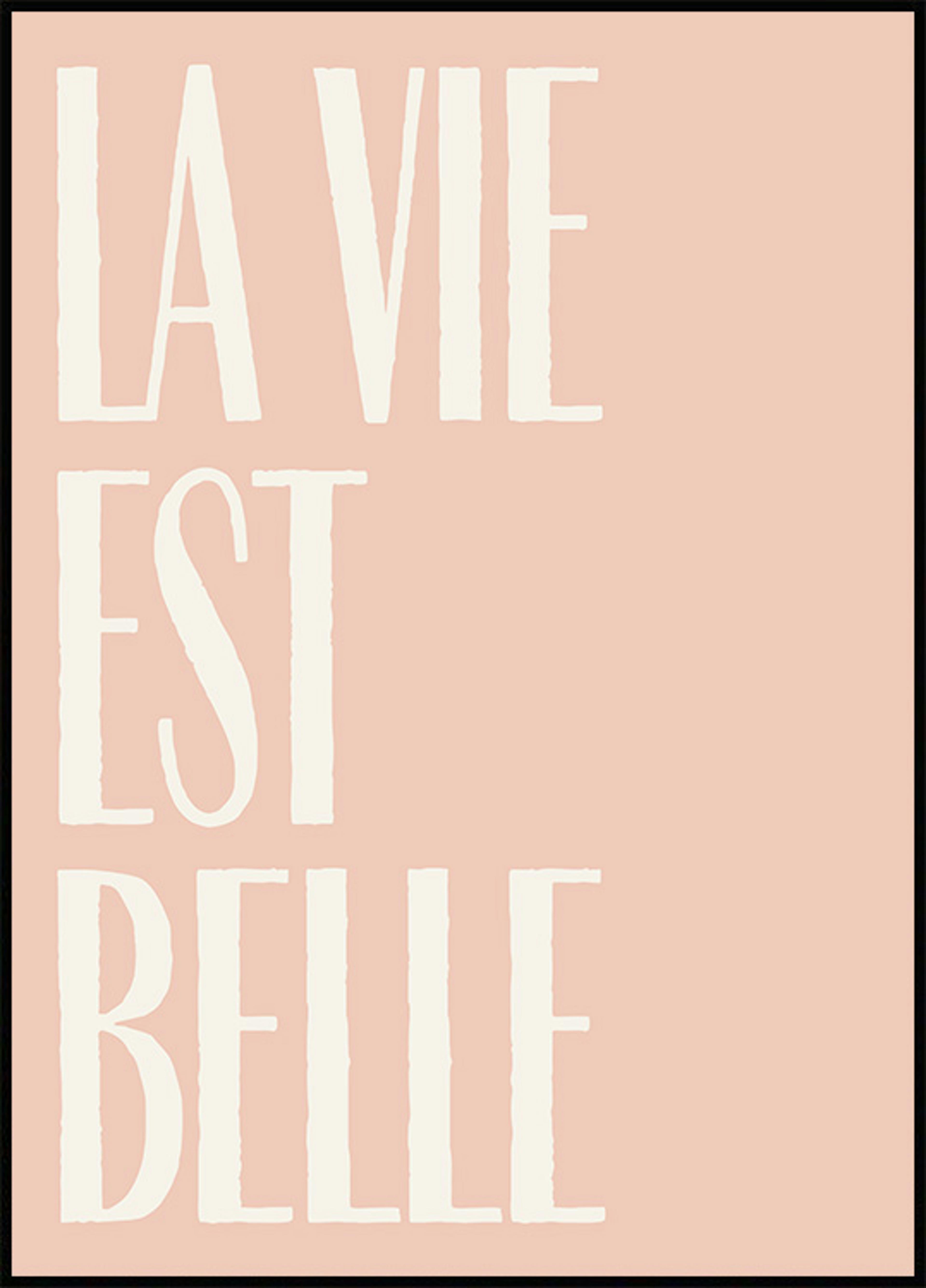 La Vie Est Belle Text Poster 0