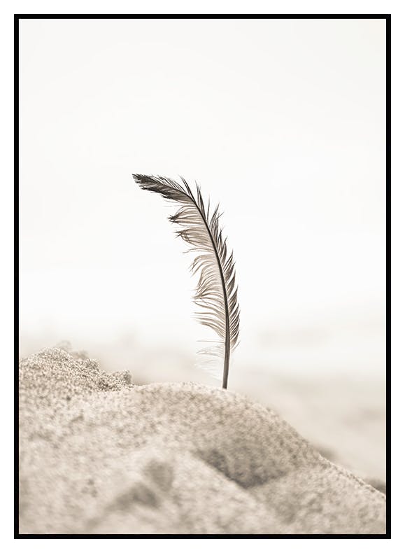 Plume Plage Poster (30x40 cm) - Poster Store
