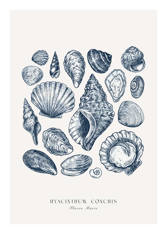 Blue Shells Poster 0
