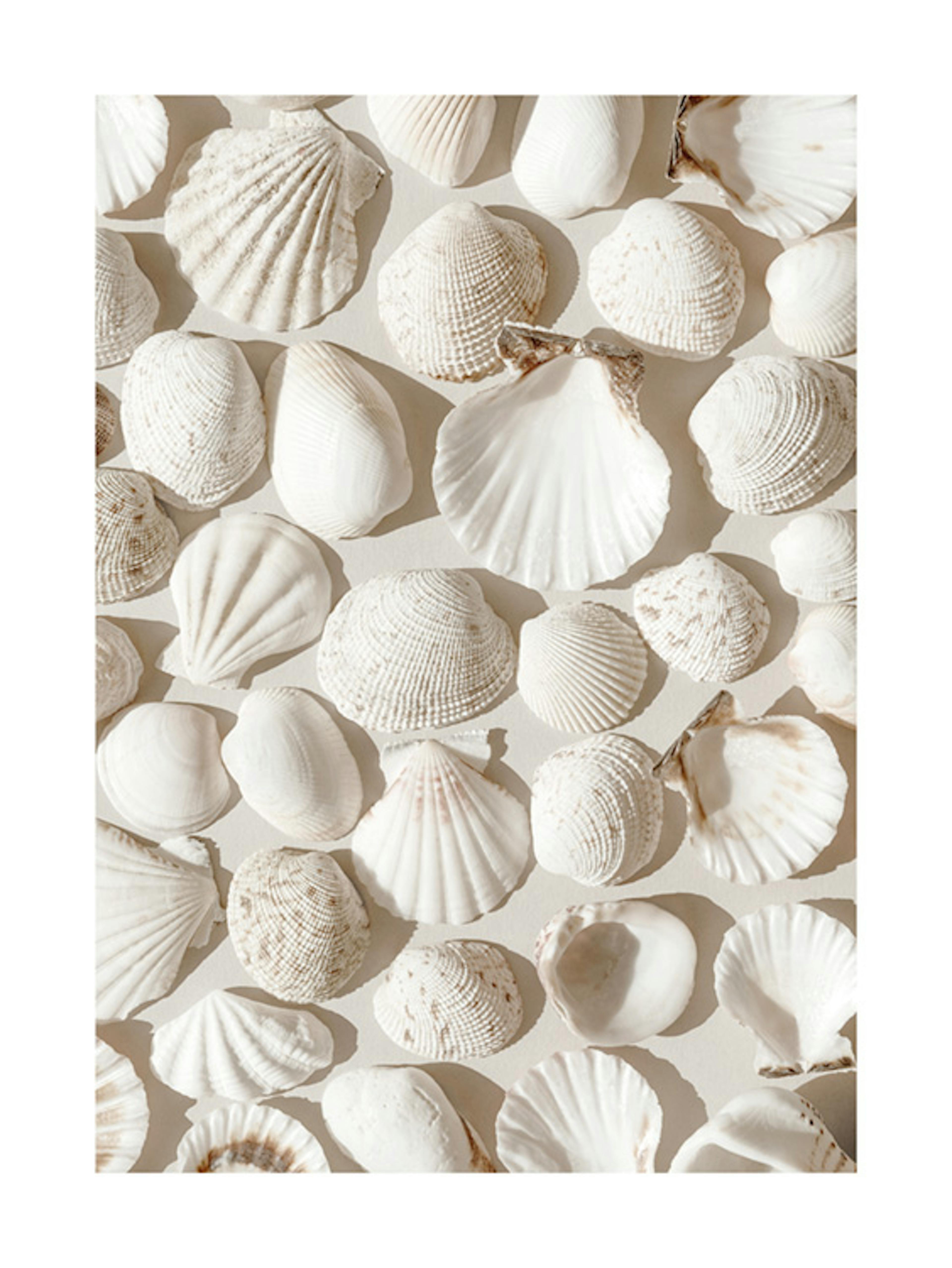 ベージュの貝殻のポスター 0