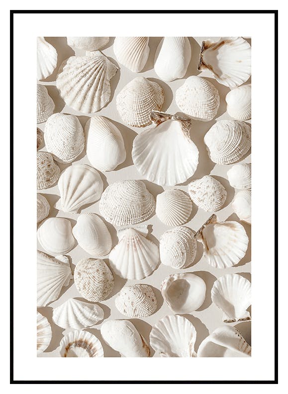 Beige Skjell Poster (30x40 cm) - Poster Store
