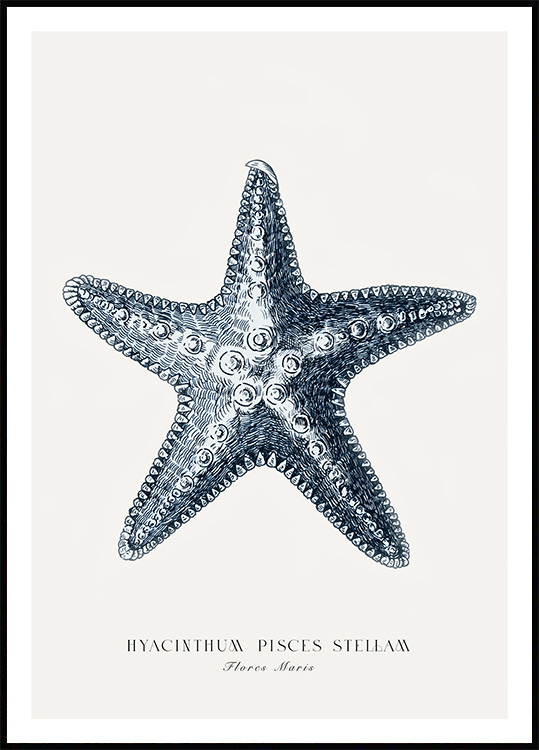 Blue Starfish Poster - Beach starfish print
