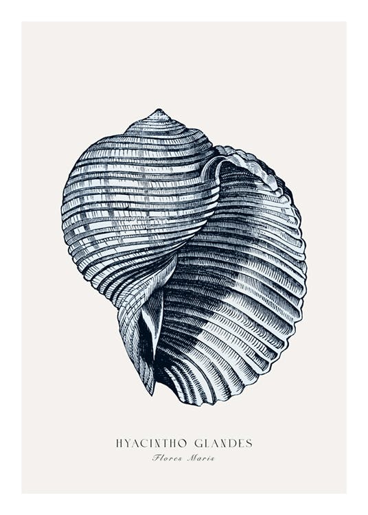 Blue Seashell Poster 0
