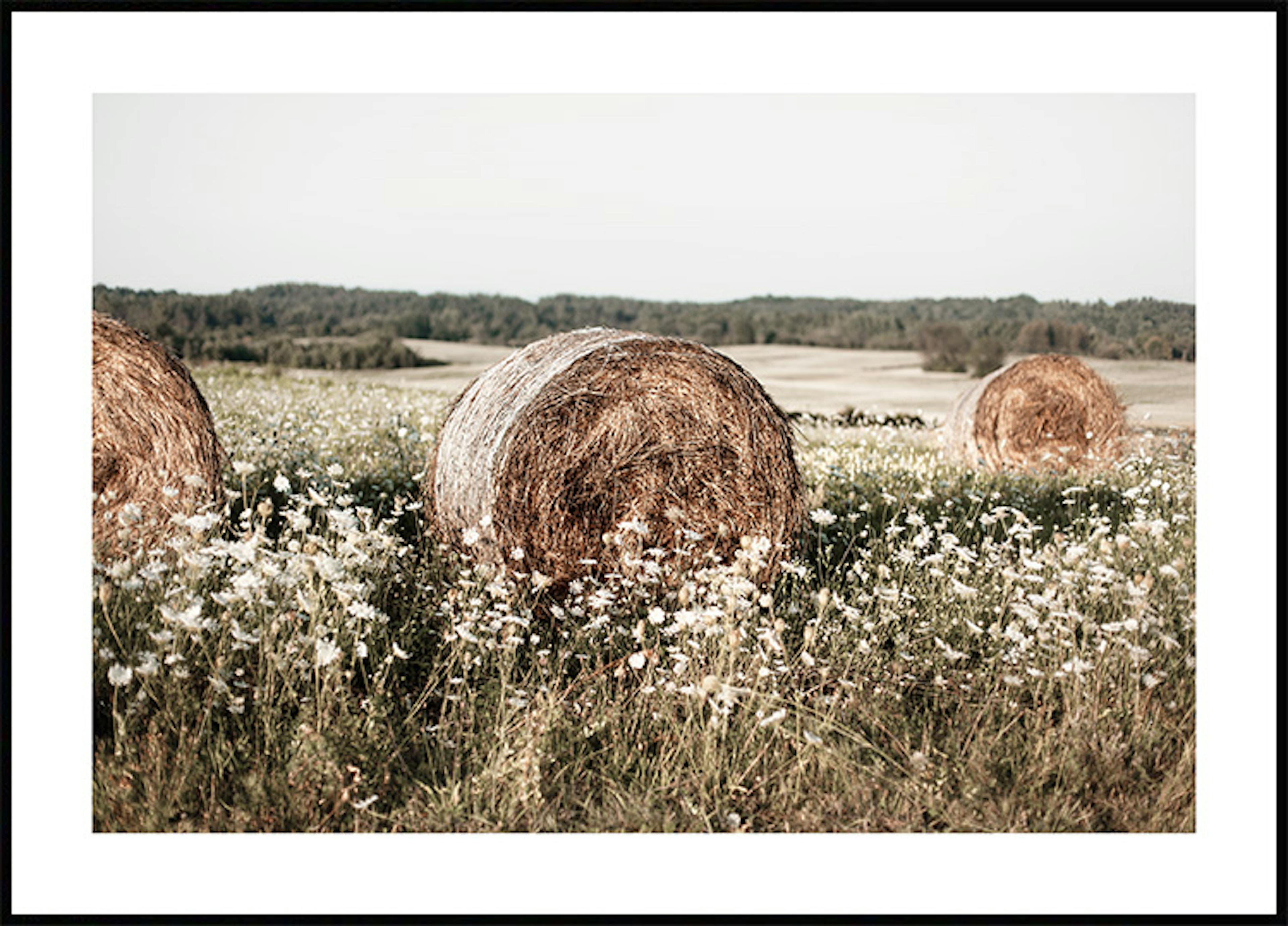 Hay on Meadow Poster 0