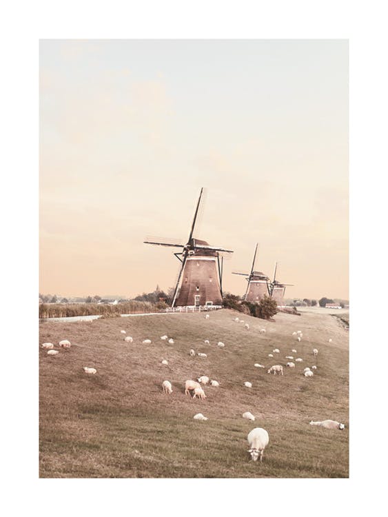 Windmühlen und Schafe Poster 0