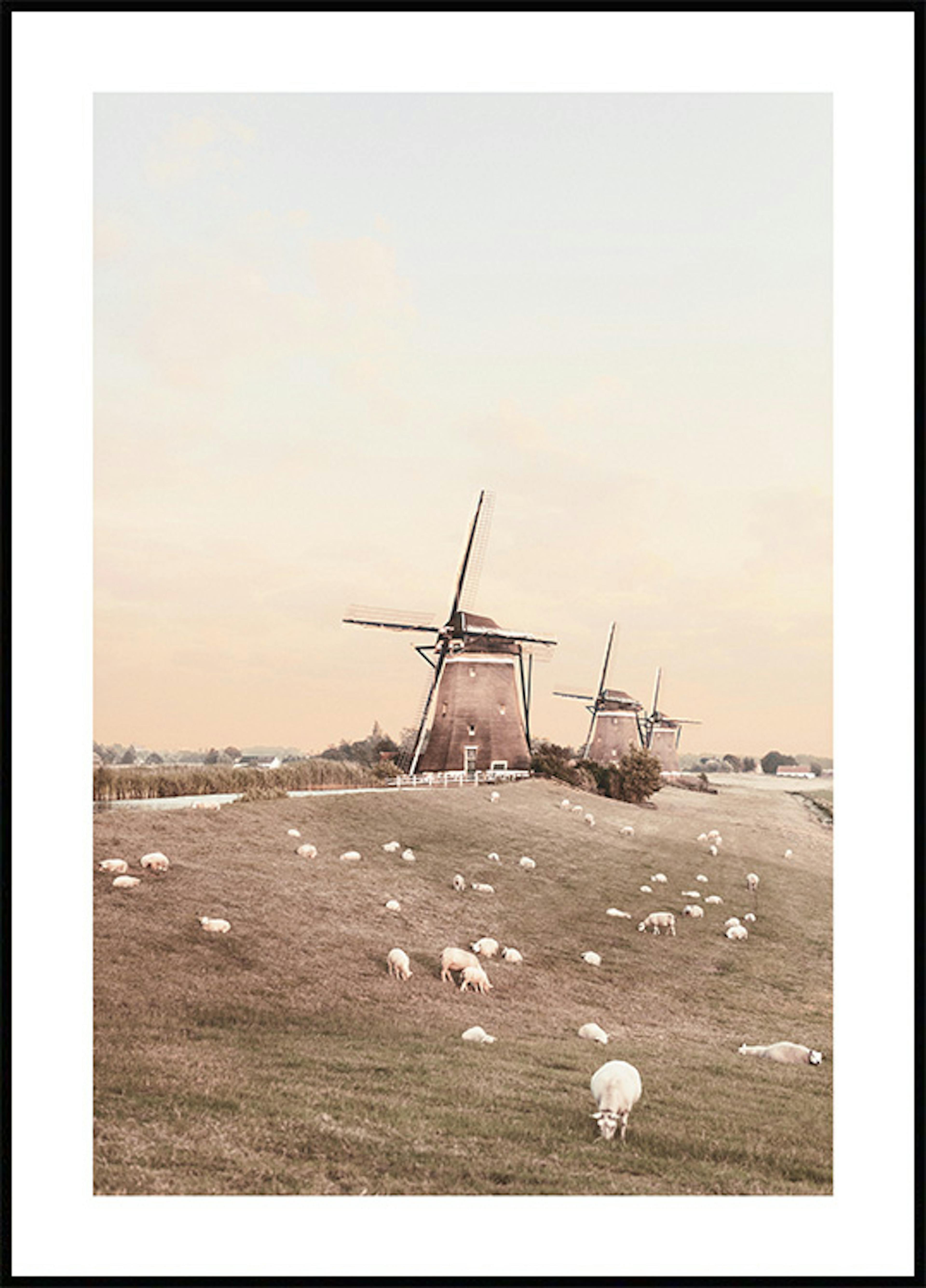 Windmills and Sheep Poster thumbnail