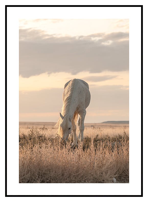 Paard in Zonsondergang Poster (30x40 cm) - Poster Store