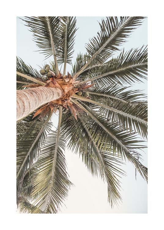 Palm View Poster 0