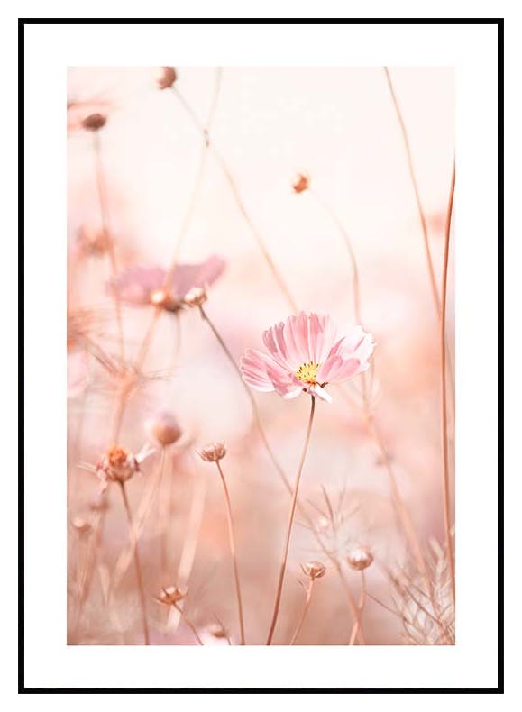 Różowe Kwiaty Plakat (30x40 cm) - Poster Store