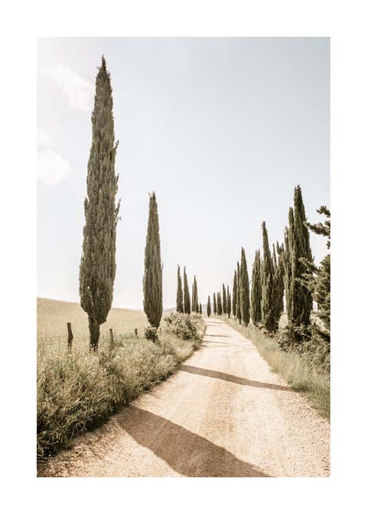 Quadro Su Tela Con Paesaggio Autunnale E Foglie Dorate – Poster Con Cornice, 30x45 Cm