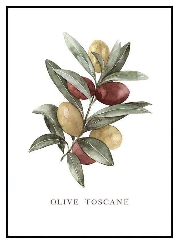 Olijf Toscane Poster (21x30 cm) - Poster Store