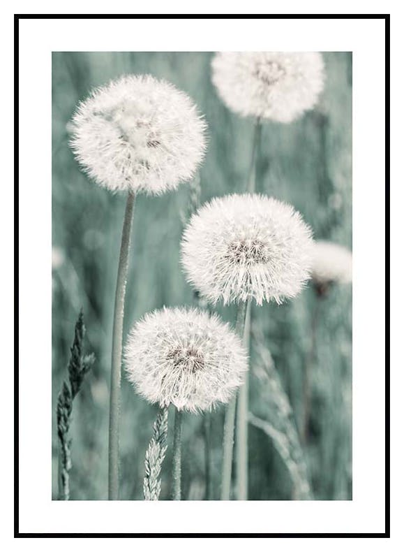 Paardebloem weide poster (21x30 cm) - Poster Store