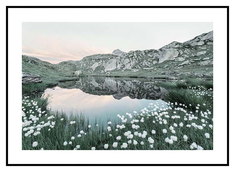 Blühendes Alpensee-Plakat (50x70 cm) - Poster Store
