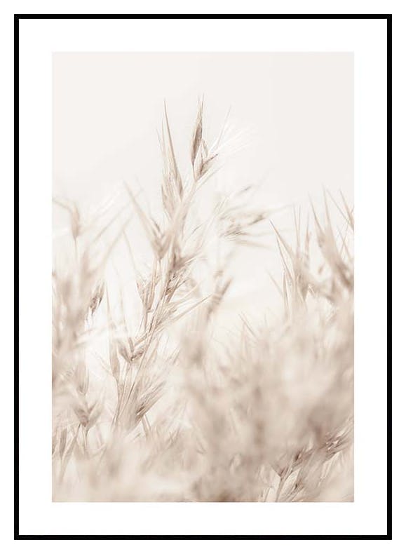 Beiges Reed-Poster (21x30 cm) - Poster Store