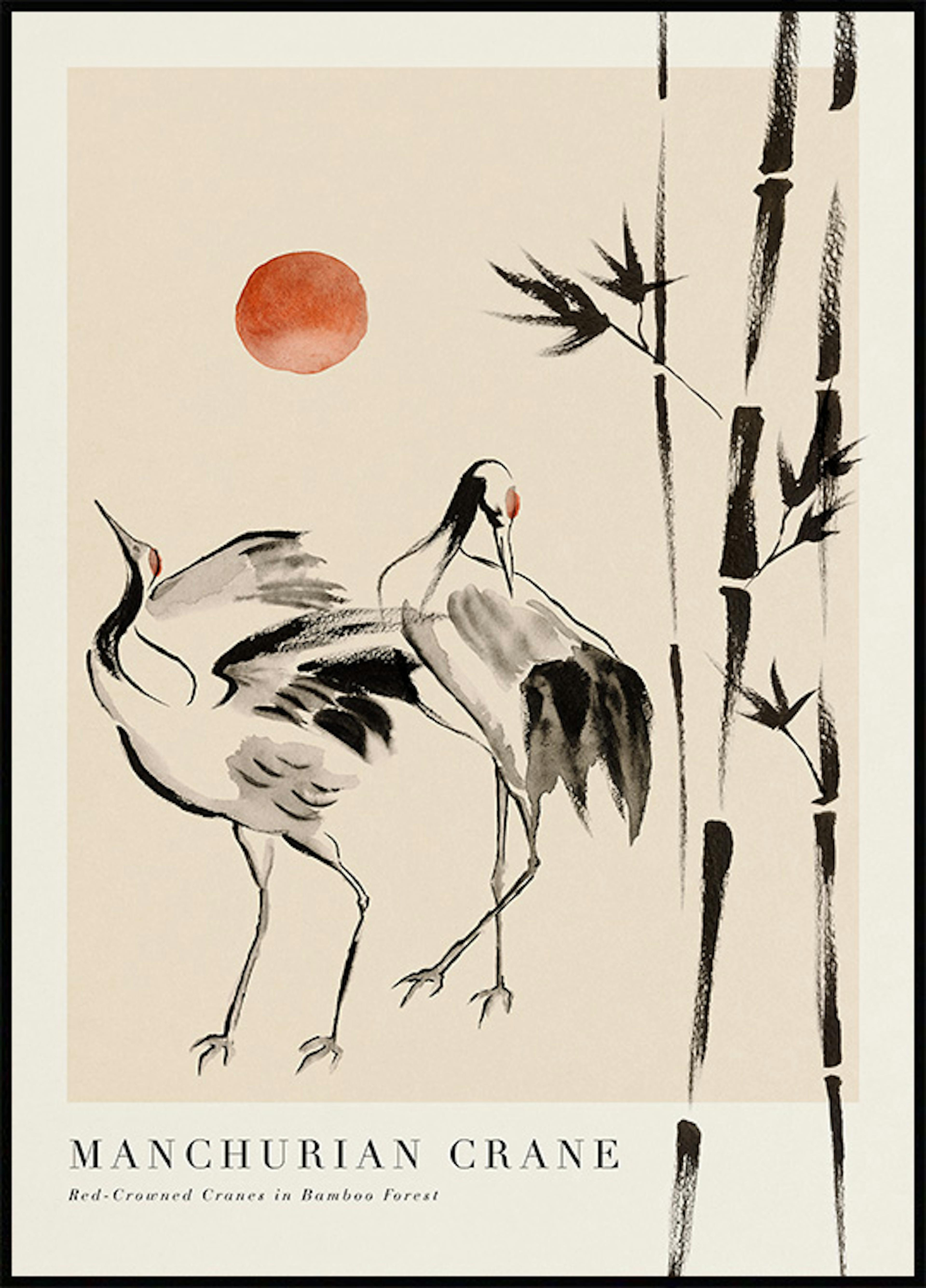 Manchurian Crane Poster 0