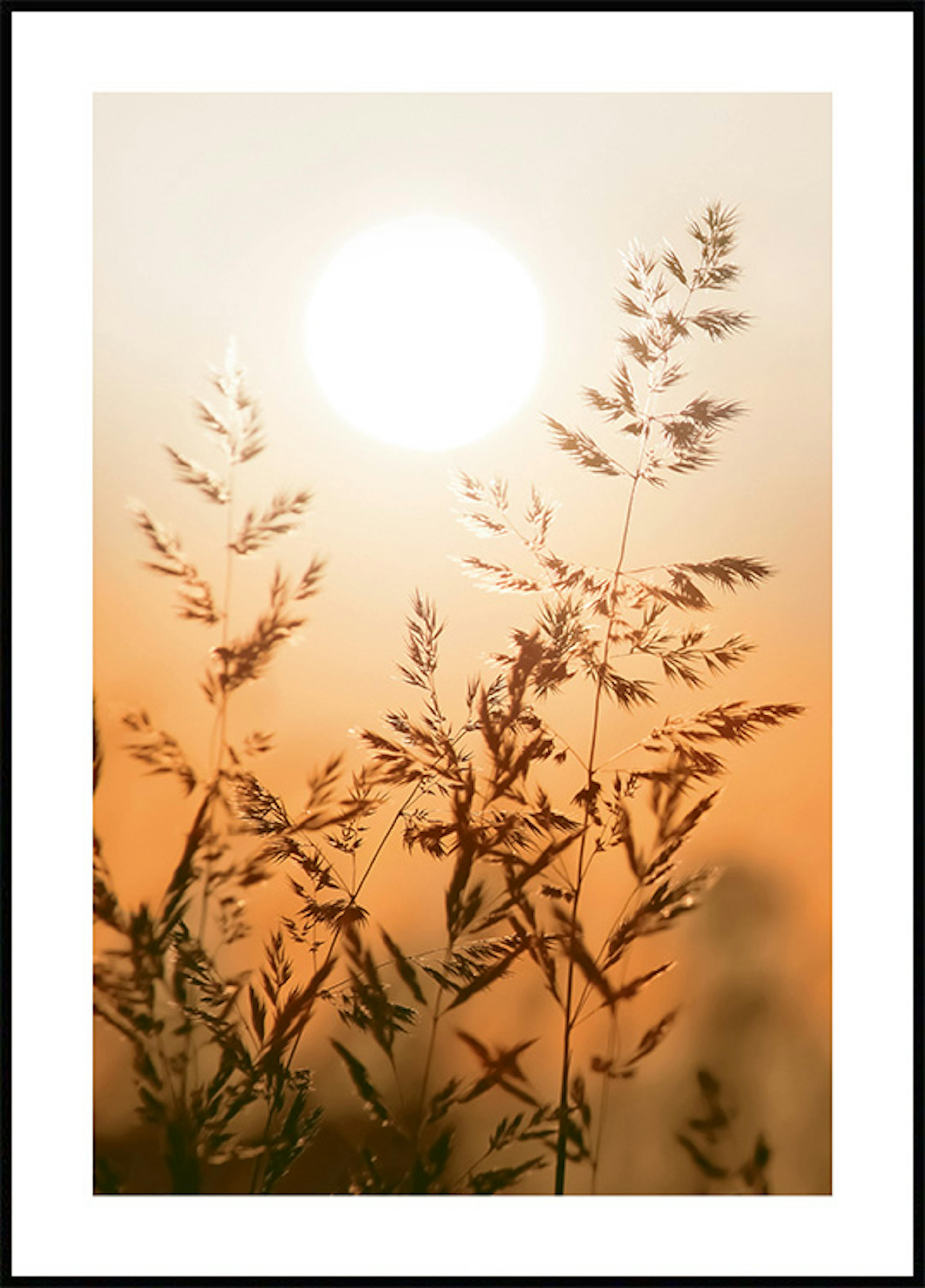 夕焼けの草原のポスター 0