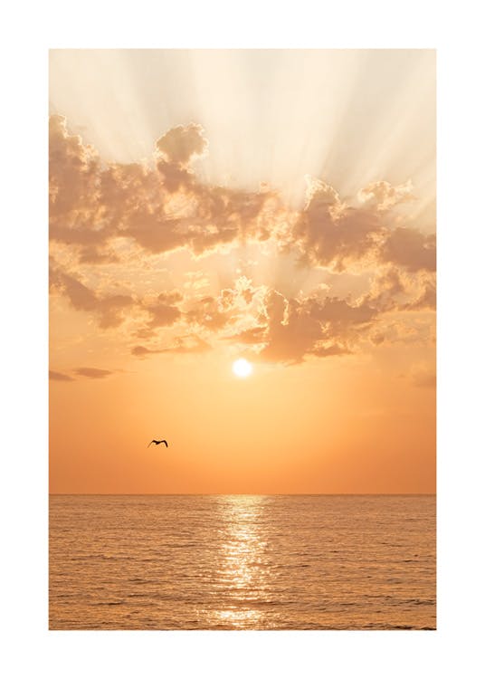 Plakat med orange solnedgang 0