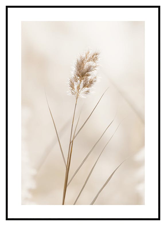 Eenzame Riet Poster (21x30 cm) - Poster Store