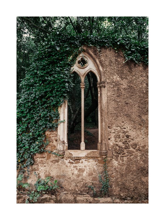Window in the Forest Poster 0