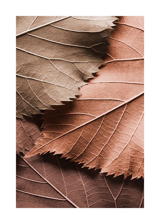 Braune Blätter Poster 0