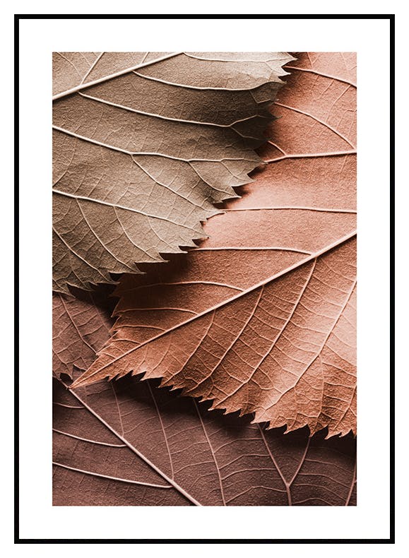 Brune Blader Plakat (21x30 cm) - Poster Store