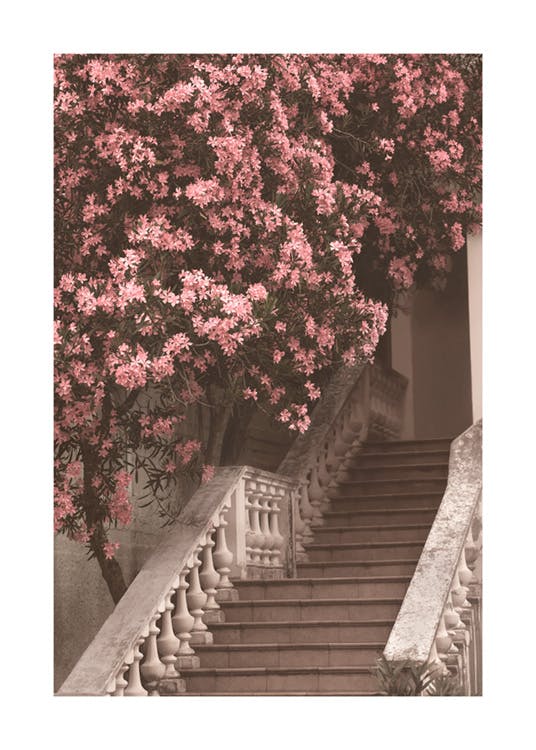 Escalier de fleurs Poster 0