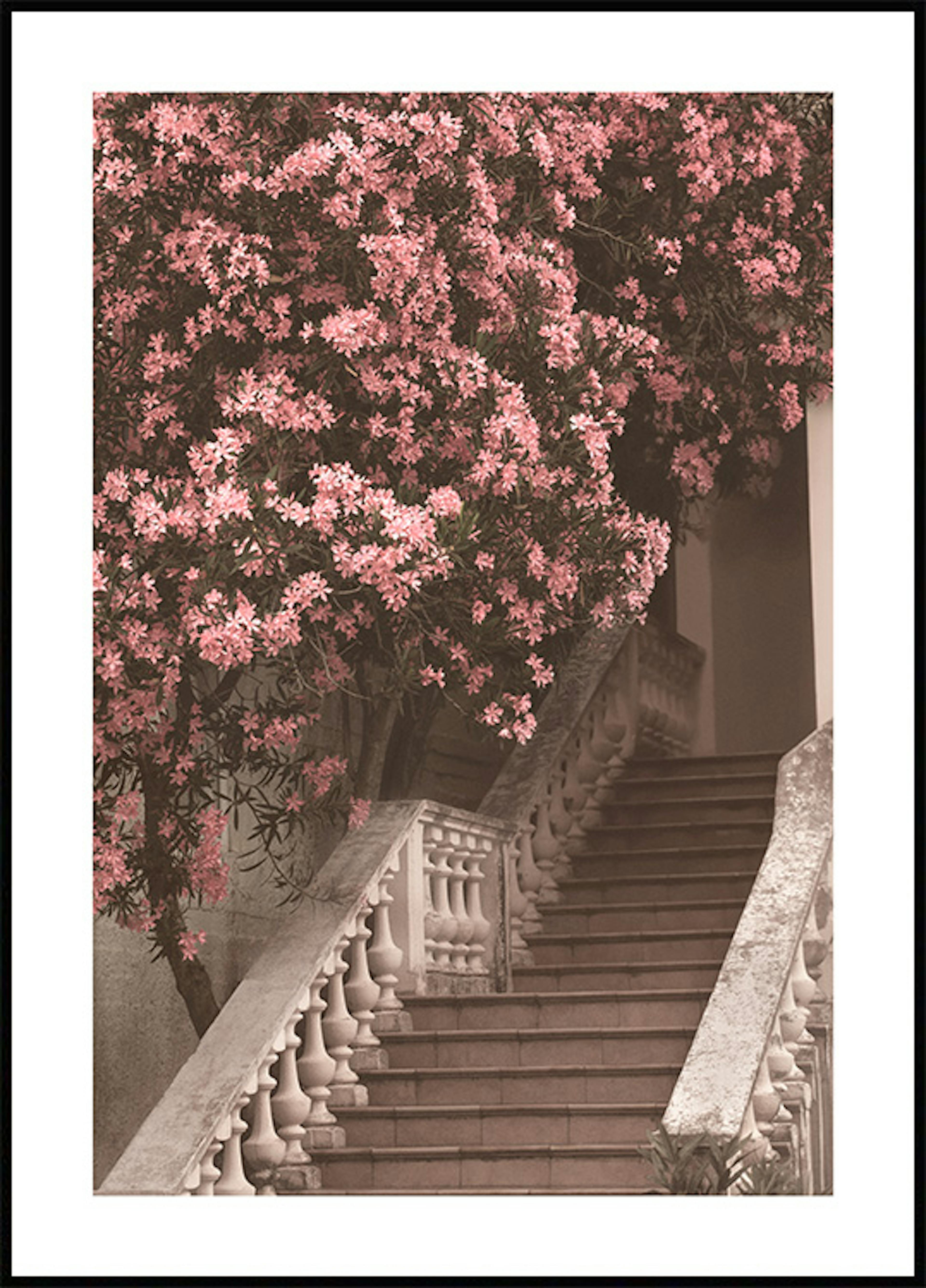 Virág lépcsőház poszter thumbnail