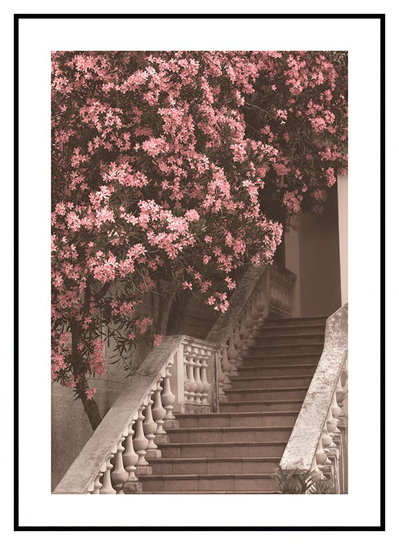 Plakat 'Schody kwiatowe (50x70 cm) - Poster Store