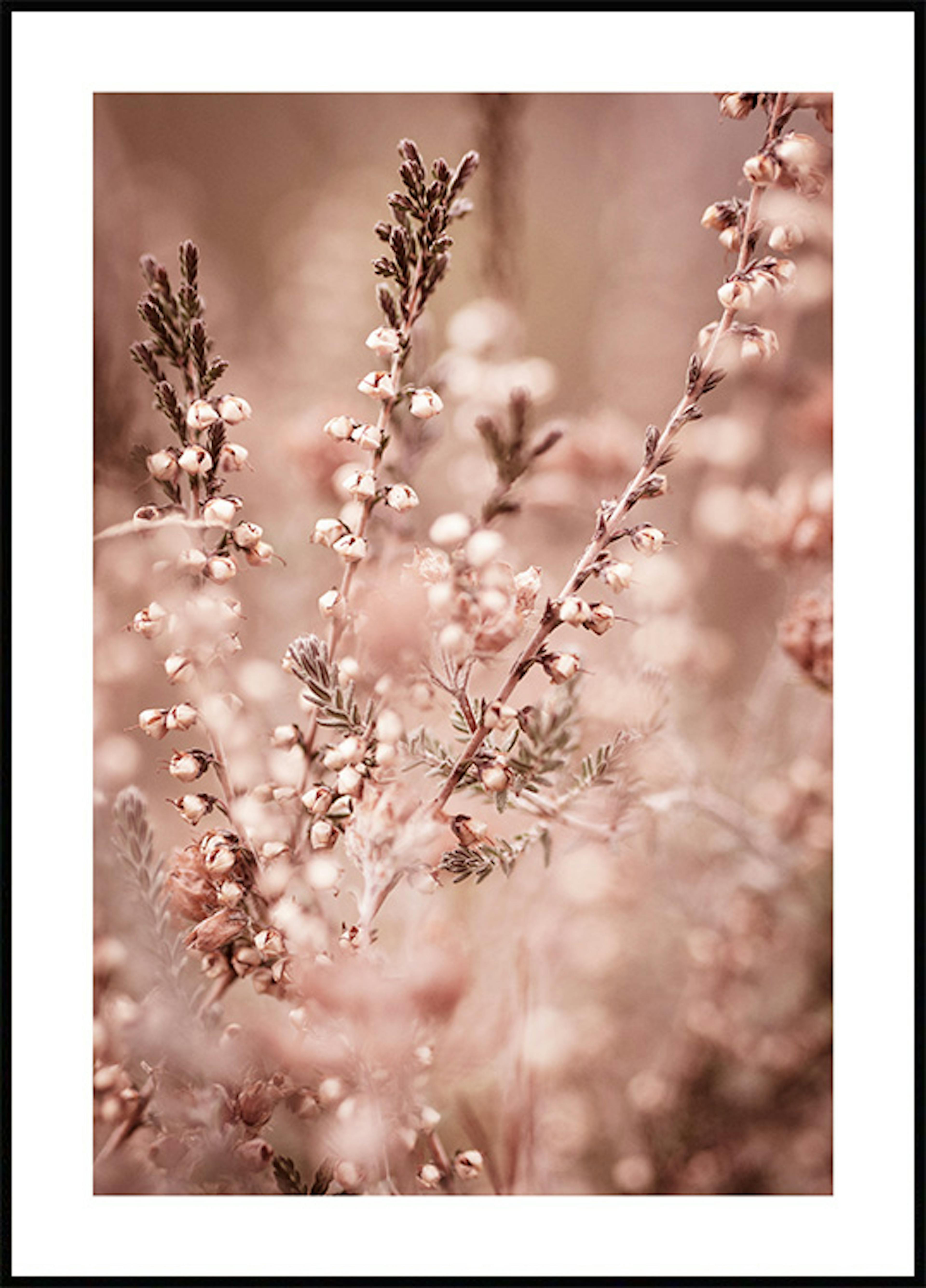 Heidekraut-Blumen-Plakat 0