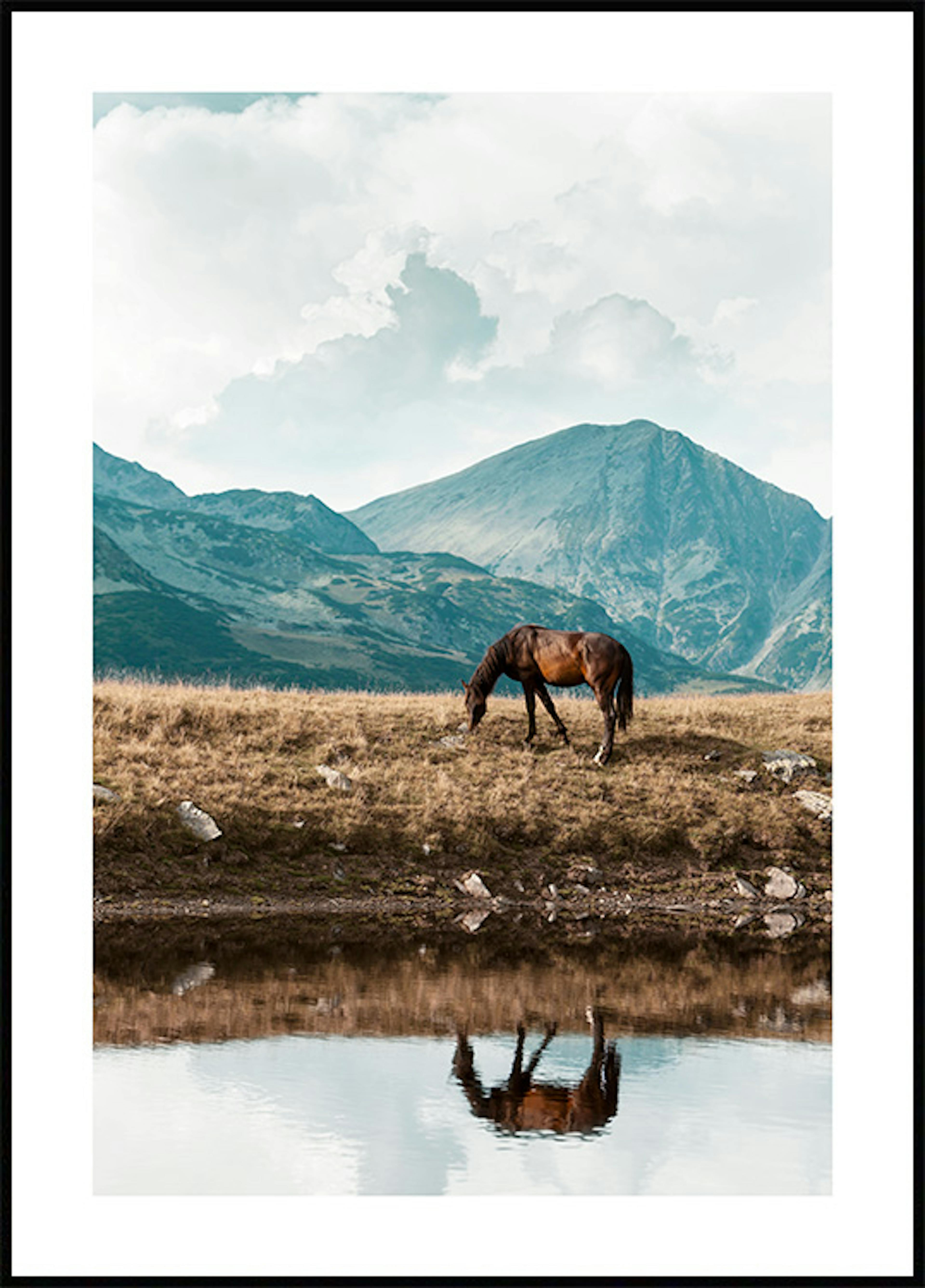 Highland Horse Poster 0