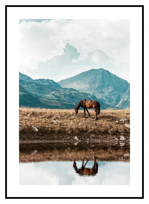Poster del cavallo dell'altopiano (50x70 cm) - Poster Store