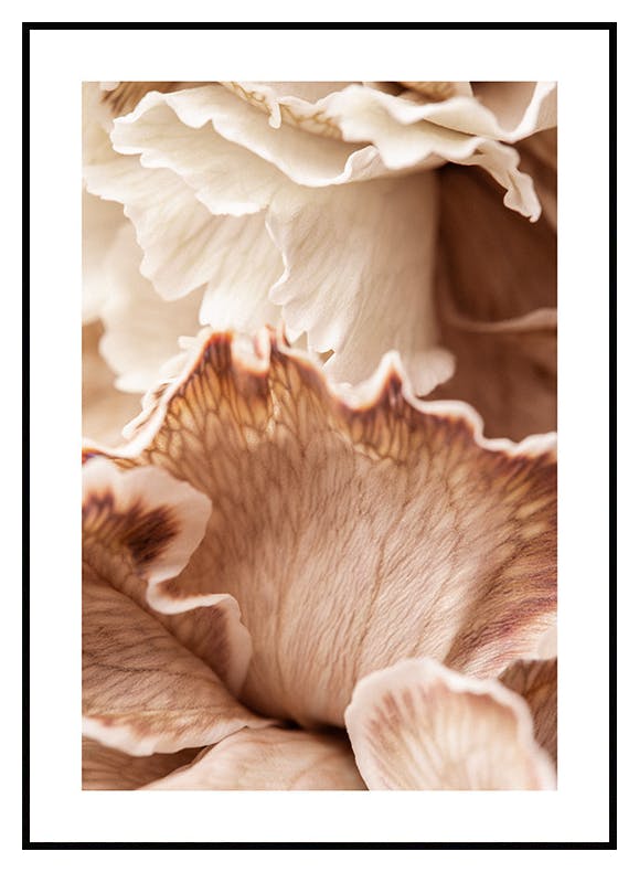 Flower Petals Poster (21x30 cm) - Poster Store