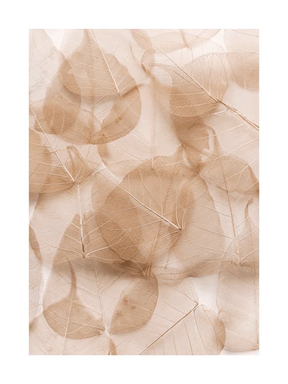 Póster de hojas transparentes 0