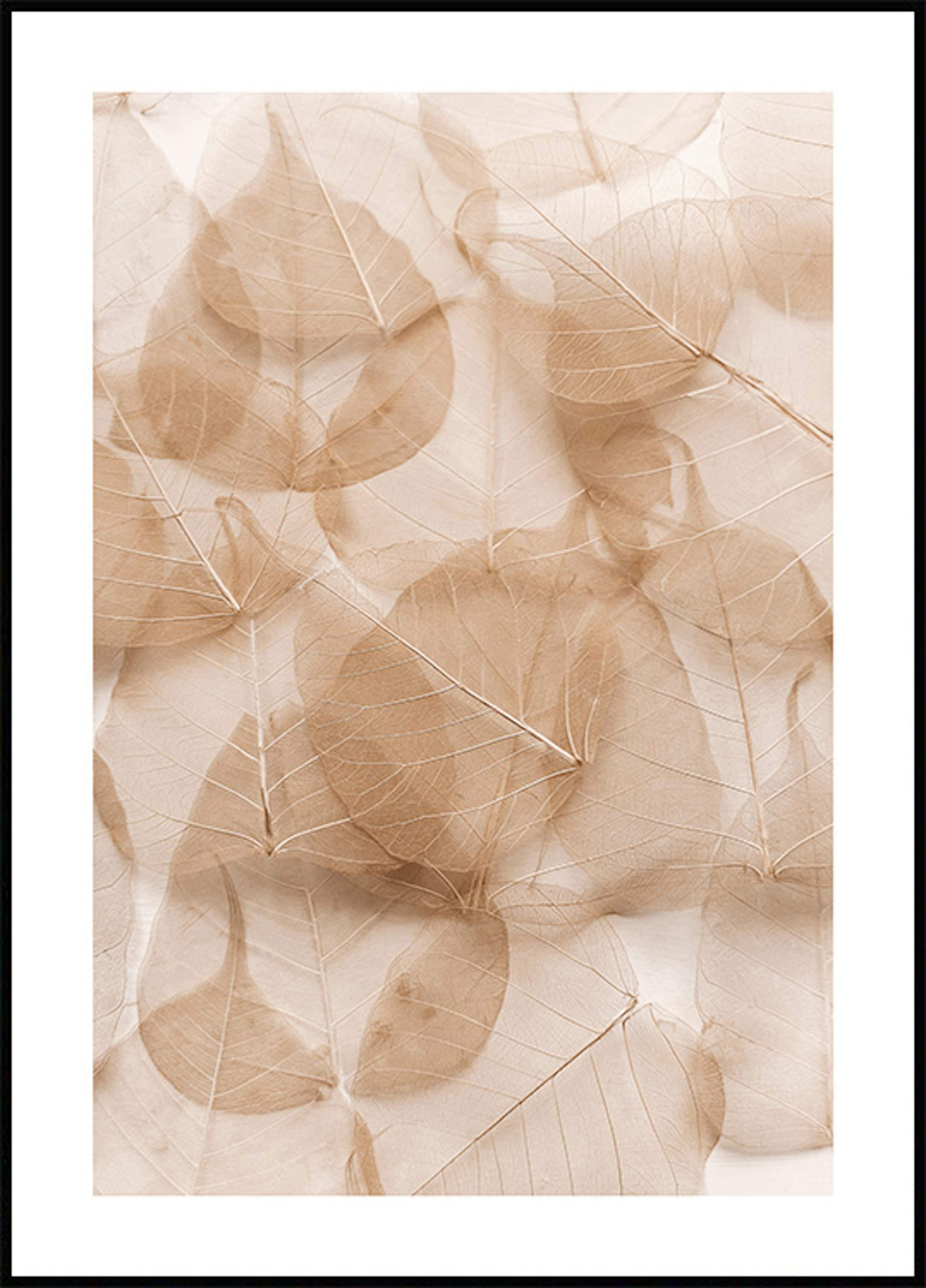 Transparent Leaves 0