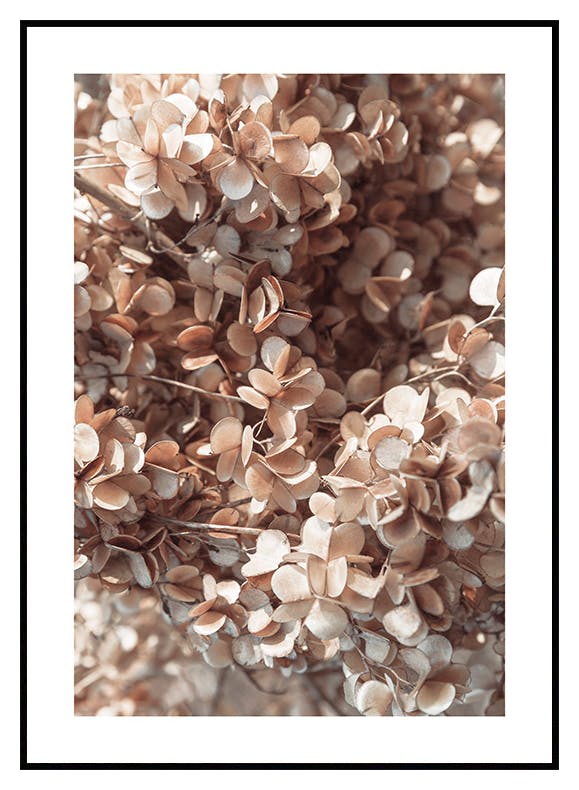 Plakat z suszonymi liśćmi winorośli (21x30 cm) - Poster Store