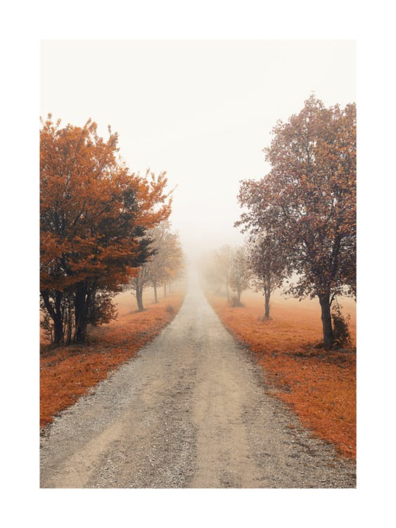 Misty Tree Alley Poster 0