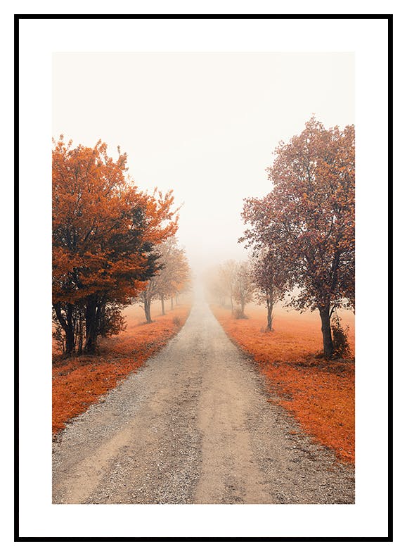 Misty Tree Alley Poster (50x70 cm) - Poster Store