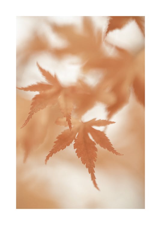 Japanse esdoorn bladeren poster 0