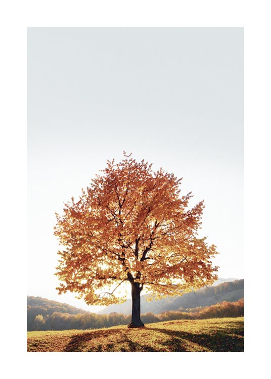 Poster drammatico dell'albero 0