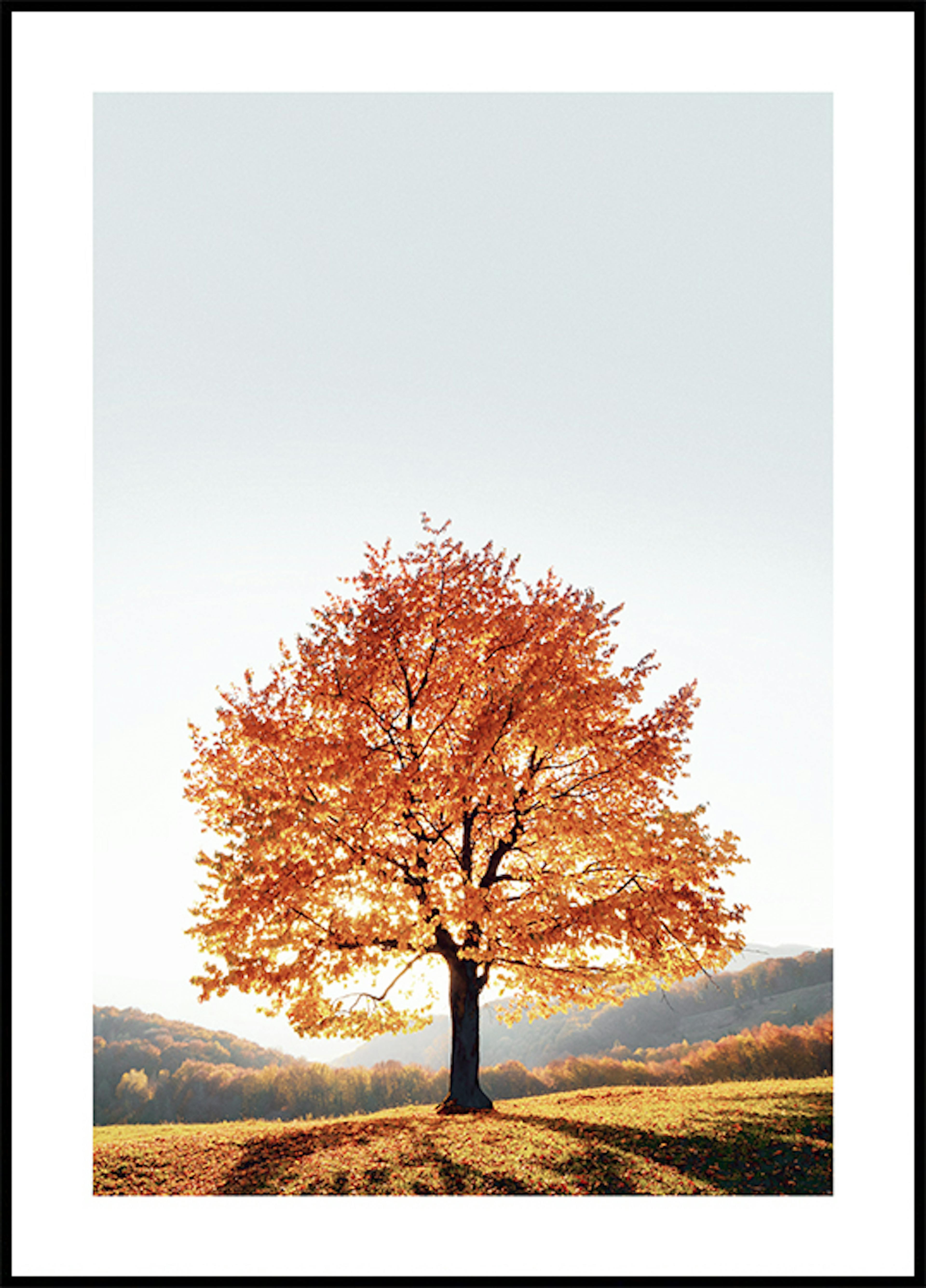 Dramatisches Baum-Poster 0