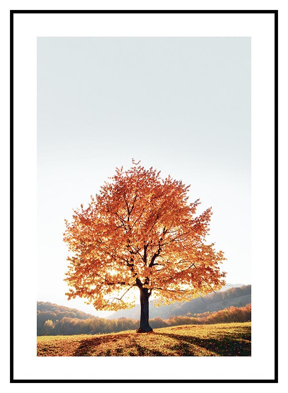 Poster drammatico dell'albero (30x40 cm) - Poster Store