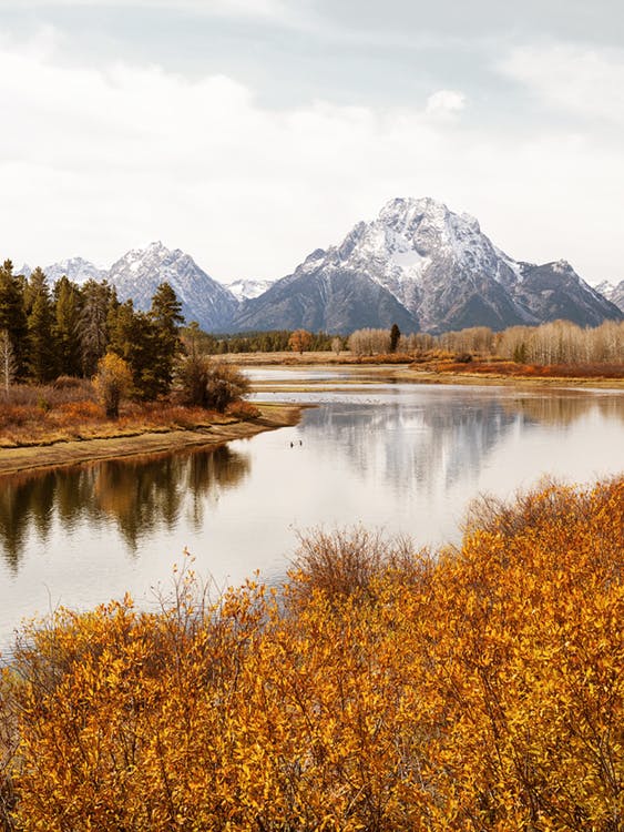 Oxbow Bend Poster 0