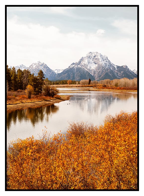 Oxbow Bend-poster (50x70 cm) - Poster Store