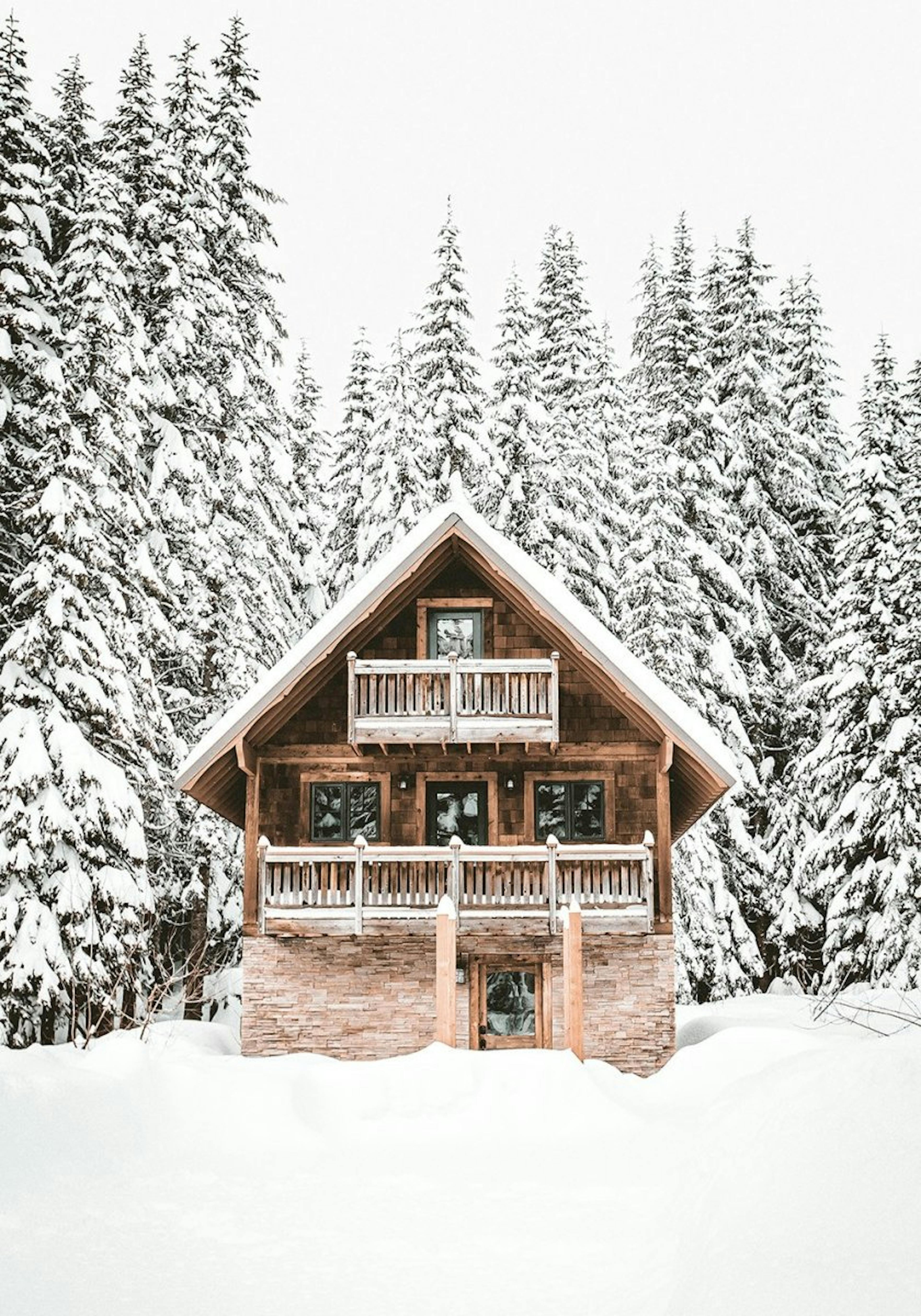 Holiday Cabin Poster 0
