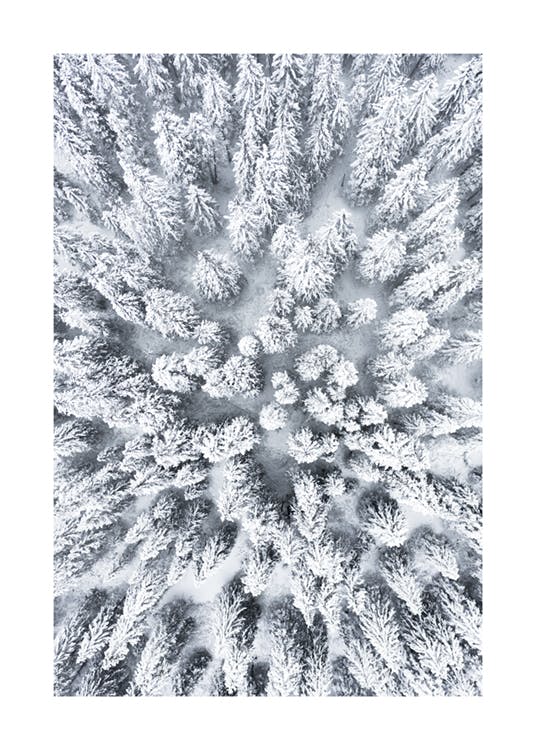 Plakat med snødekte trær 0