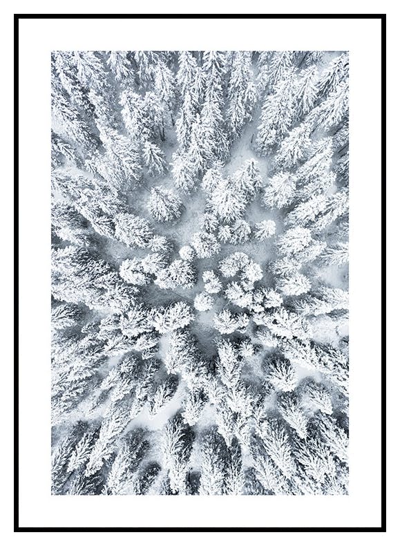 Plakat med snedækkede træer (30x40 cm) - Poster Store
