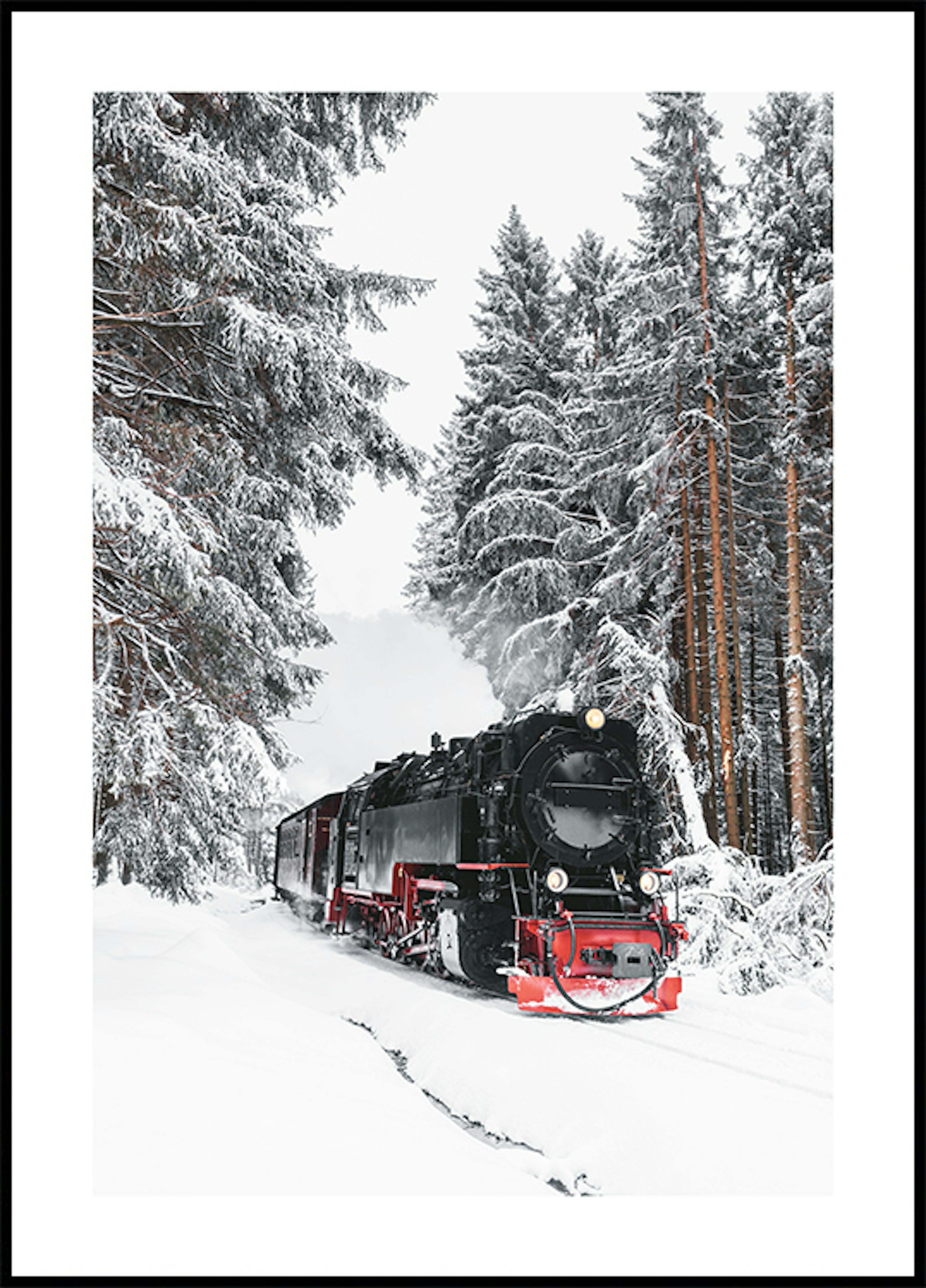 Plakát zimního vlaku 0
